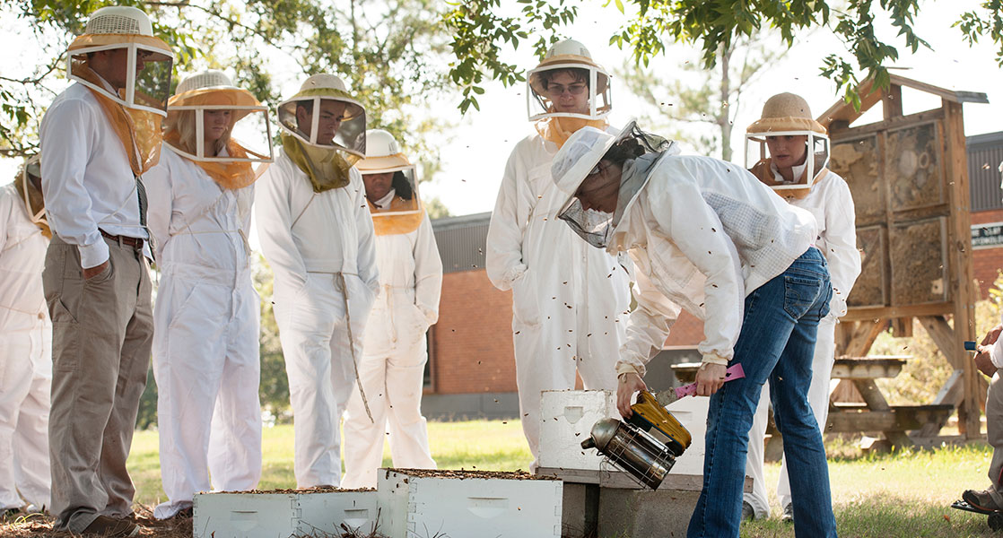 Beekeeping