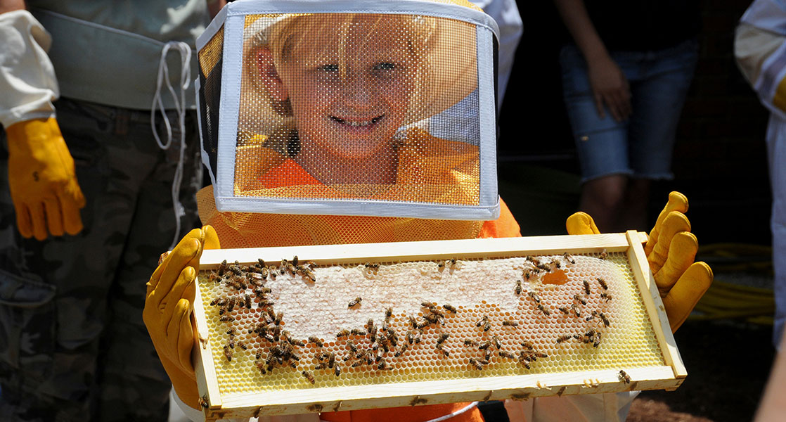 Beekeeping Camp