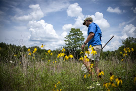 Open Spaces, Endless Possibilities